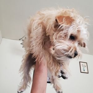 Meet your Posher, Cara